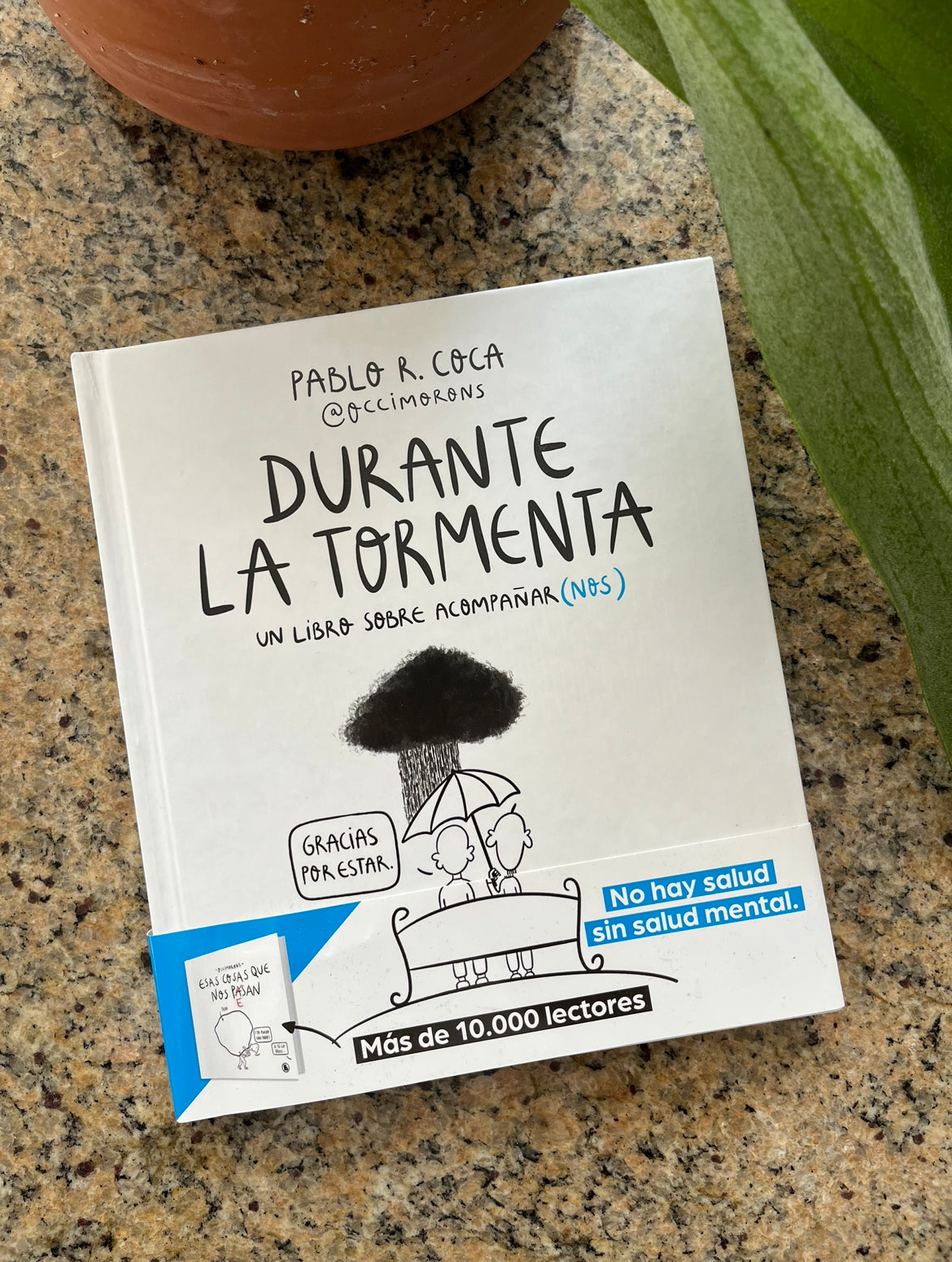 Durante la tormenta: un libro sobre acompañar(nos) + pegatinas