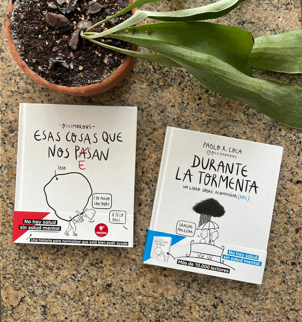 Durante la tormenta: un libro sobre acompañar(nos) + pegatinas